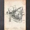 Anatomie der Gesichtsmuskulatur | Codex Anatomicus Sale