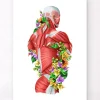 Anatomie der Muskeln - Floral - Weiß | Codex Anatomicus Fashion