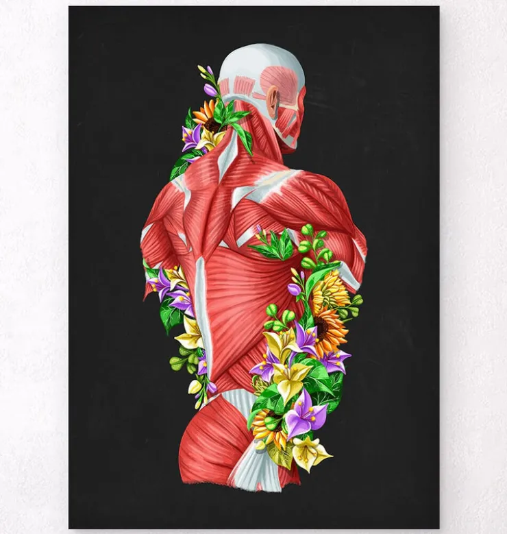 Anatomie der Muskeln - Floral- Schwarz | Codex Anatomicus Sale