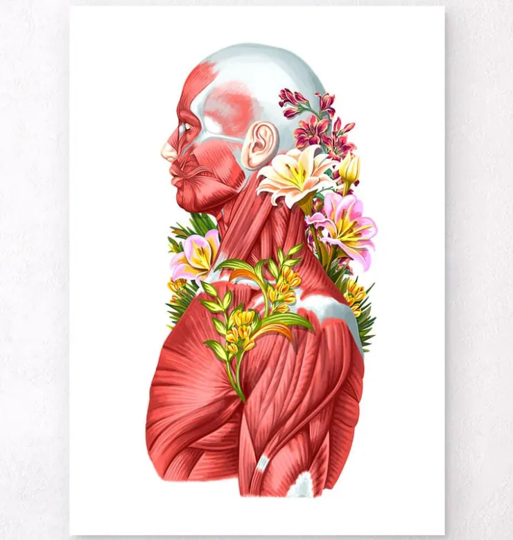 Anatomie der Muskeln - Floral - Weiß | Codex Anatomicus Discount