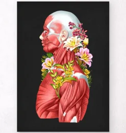 Anatomie der Muskeln - Floral- Schwarz | Codex Anatomicus Hot