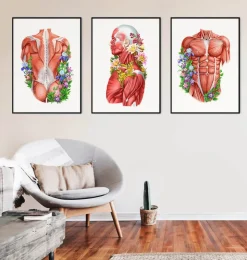 Anatomie der Muskeln - Floral - Weiß | Codex Anatomicus Discount