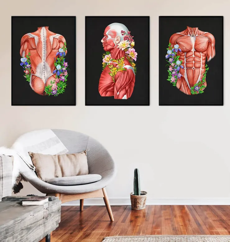 Anatomie der Muskeln - Floral- Schwarz | Codex Anatomicus Hot