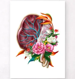 Anatomie der Plazenta - Floral - Weiß | Codex Anatomicus Discount