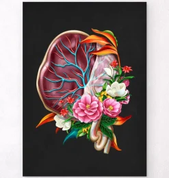 Anatomie der Plazenta - Floral - Schwarz | Codex Anatomicus Hot