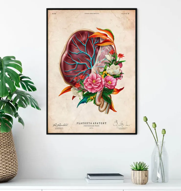 Anatomie der Plazenta - Floral - Vintage | Codex Anatomicus Outlet