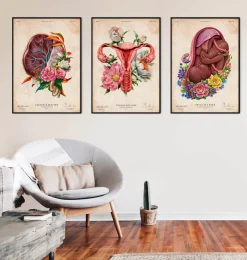 Anatomie der Plazenta - Floral - Vintage | Codex Anatomicus Outlet