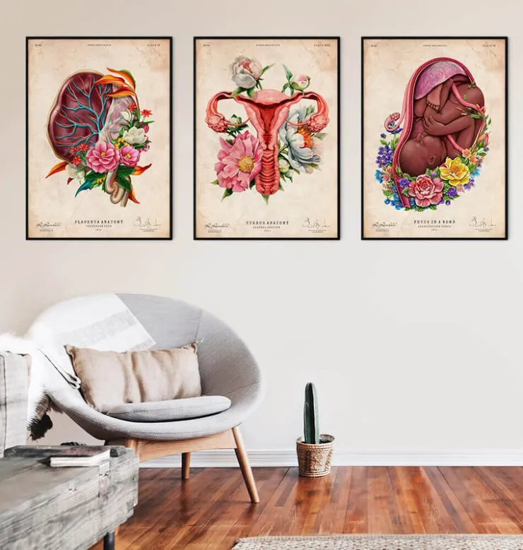 Anatomie der Plazenta - Floral - Vintage | Codex Anatomicus Outlet