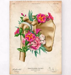Anatomie der Schulter - Floral - Vintage | Codex Anatomicus Clearance