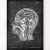 Anatomie des Kopfteils - Chalkboard | Codex Anatomicus New