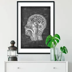 Anatomie des Kopfteils - Chalkboard | Codex Anatomicus New