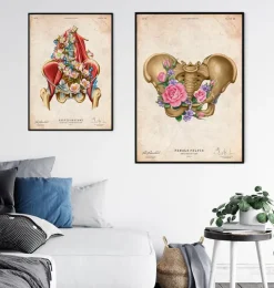Anatomie des weiblichen Beckens - Floral - Vintage | Codex Anatomicus Sale