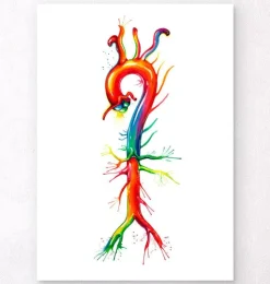 Aorta Anatomie - Aquarell | Codex Anatomicus Best