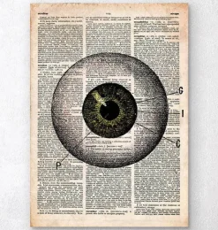 Augen anatomie - Altes Wörterbuch | Codex Anatomicus Clearance