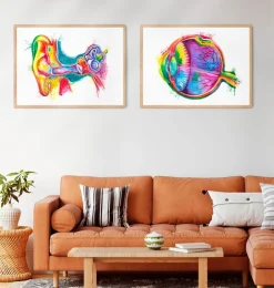 Augen Anatomie - Aquarell | Codex Anatomicus Fashion