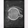 Augen Anatomie - Chalkboard | Codex Anatomicus Outlet