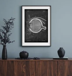 Augen Anatomie - Chalkboard | Codex Anatomicus Outlet
