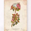 Bandscheibenvorfall - Floral - Vintage | Codex Anatomicus Outlet