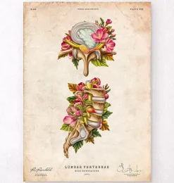 Bandscheibenvorfall - Floral - Vintage | Codex Anatomicus Outlet