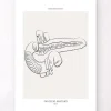 Bauchspeicheldrüse Anatomie - Line-Art | Codex Anatomicus New