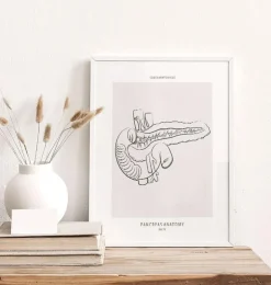Bauchspeicheldrüse Anatomie - Line-Art | Codex Anatomicus New