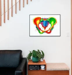 Becken Anatomie - Aquarell | Codex Anatomicus Outlet