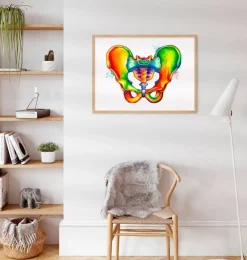 Becken Anatomie - Aquarell | Codex Anatomicus Fashion