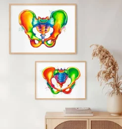 Becken Anatomie - Aquarell | Codex Anatomicus Fashion