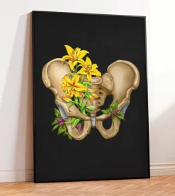 Becken Anatomie - Floral - Schwarz | Codex Anatomicus Online