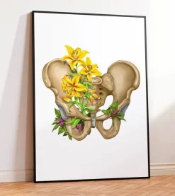 Becken Anatomie - Floral - Weiß | Codex Anatomicus Fashion
