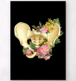 Beckenanatomie - Floral - Weiß | Codex Anatomicus Online