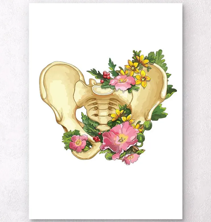 Beckenanatomie - Floral - Weiß | Codex Anatomicus New