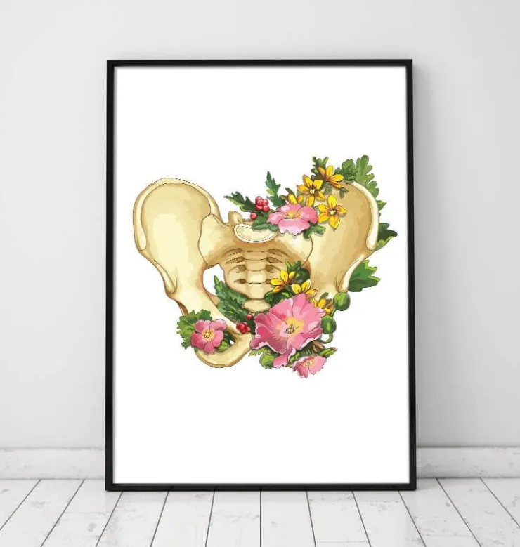 Beckenanatomie - Floral - Weiß | Codex Anatomicus New