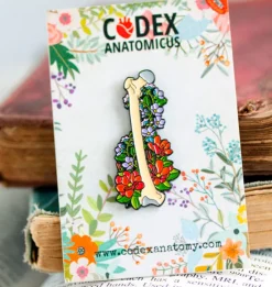 Beckenknochen mit Blumen - Emaille Pin | Codex Anatomicus Sale