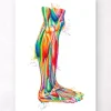 Bein Anatomie - Aquarell | Codex Anatomicus Sale