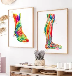Bein Anatomie - Aquarell | Codex Anatomicus Sale