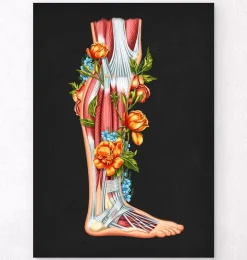 Bein Anatomie - Floral - Schwarz | Codex Anatomicus Hot