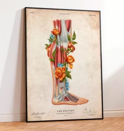 Bein Anatomie - Floral - Vintage | Codex Anatomicus Best