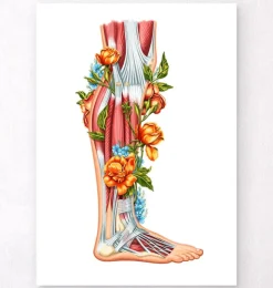 Bein Anatomie - Floral - Weiß | Codex Anatomicus Discount