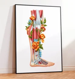 Bein Anatomie - Floral - Weiß | Codex Anatomicus Discount