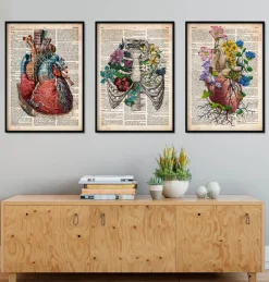 Bestseller 3er Set - Altes Wörterbuch | Codex Anatomicus Hot