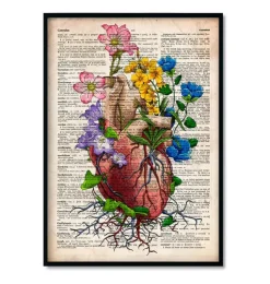 Bestseller 3er Set - Altes Wörterbuch | Codex Anatomicus Hot