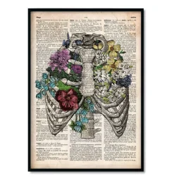 Bestseller 3er Set - Altes Wörterbuch | Codex Anatomicus Hot