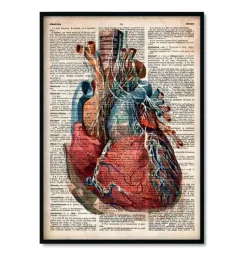 Bestseller 3er Set - Altes Wörterbuch | Codex Anatomicus Hot