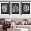 Bestseller 3er Set - Chalkboard | Codex Anatomicus Discount