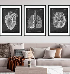 Bestseller 3er Set - Chalkboard | Codex Anatomicus Discount