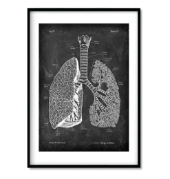 Bestseller 3er Set - Chalkboard | Codex Anatomicus Discount