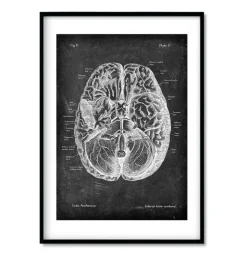 Bestseller 3er Set - Chalkboard | Codex Anatomicus Discount