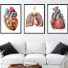 Bestseller 3er Set - Geometrische | Codex Anatomicus Outlet