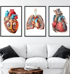 Bestseller 3er Set - Geometrische | Codex Anatomicus Outlet